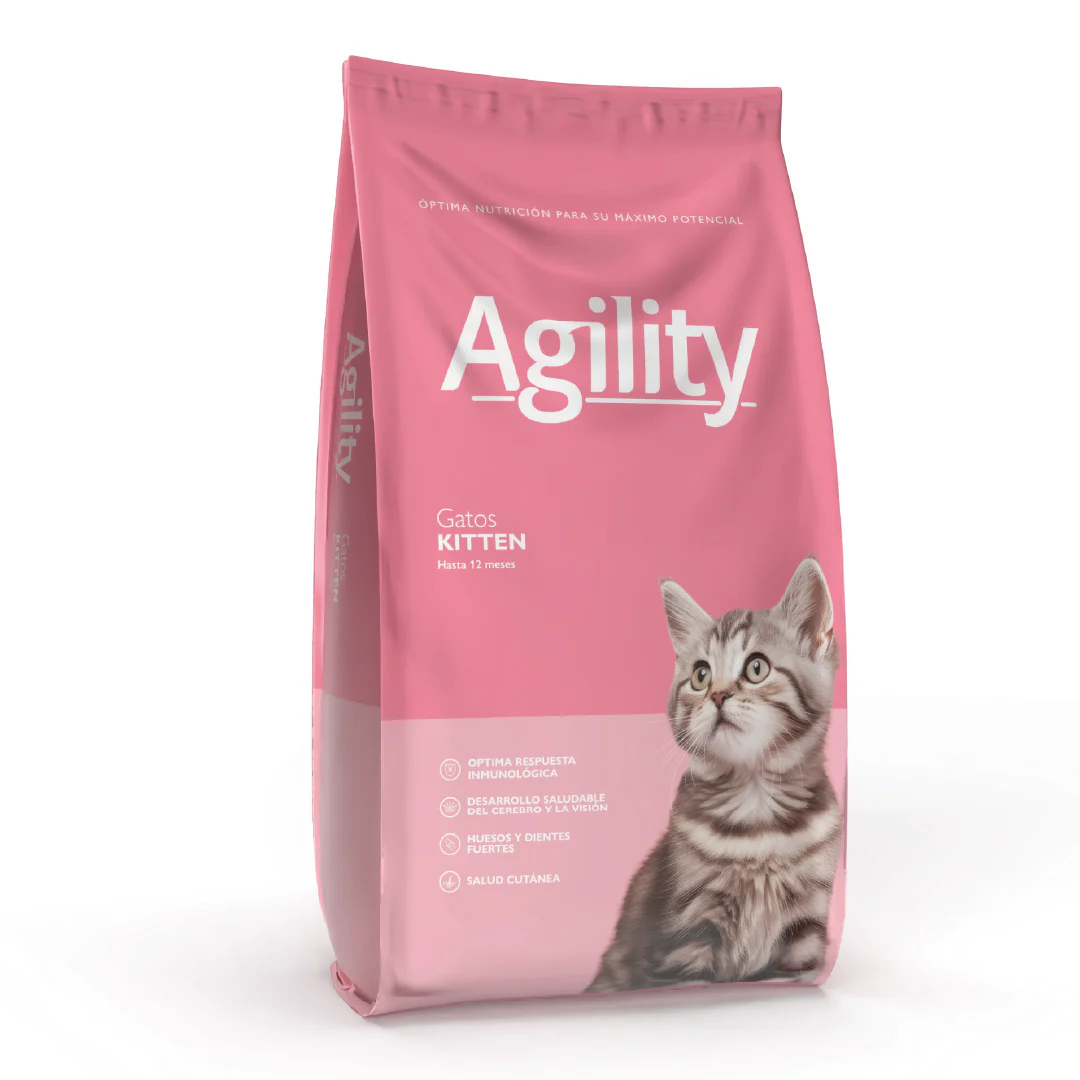 Agility Gato Cachorro