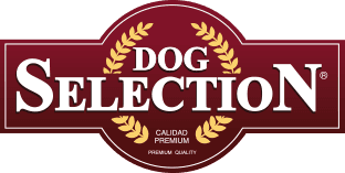 Dog Selection