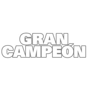 Gran Campeón
