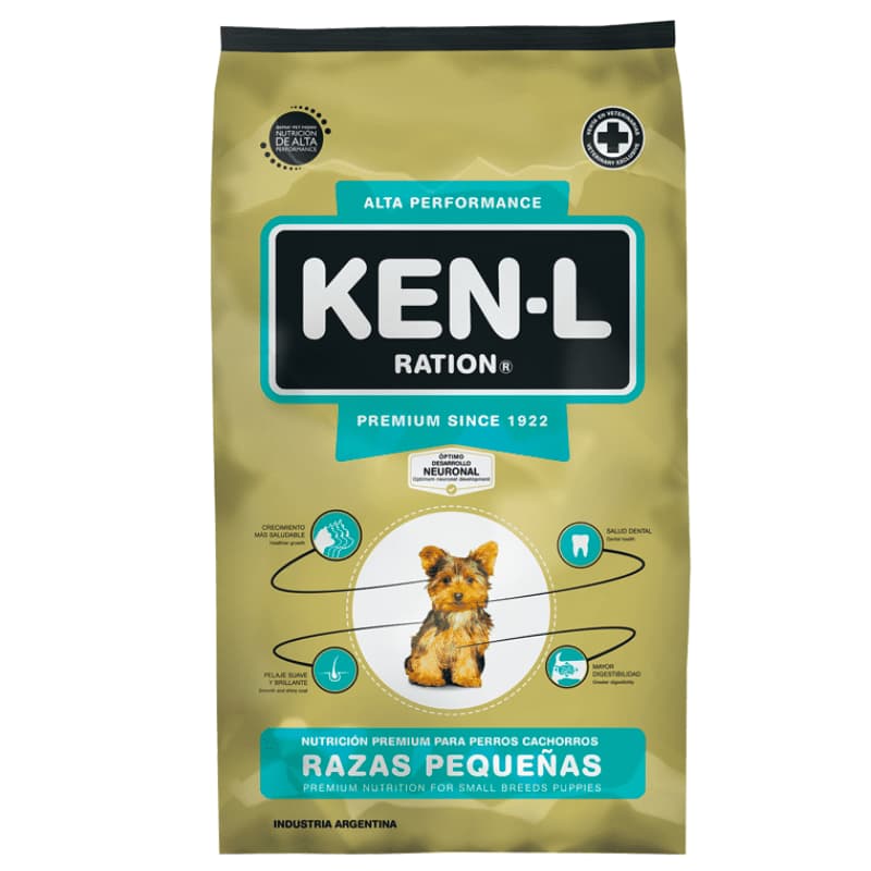 Ken L Cachorro Raza Pequeña