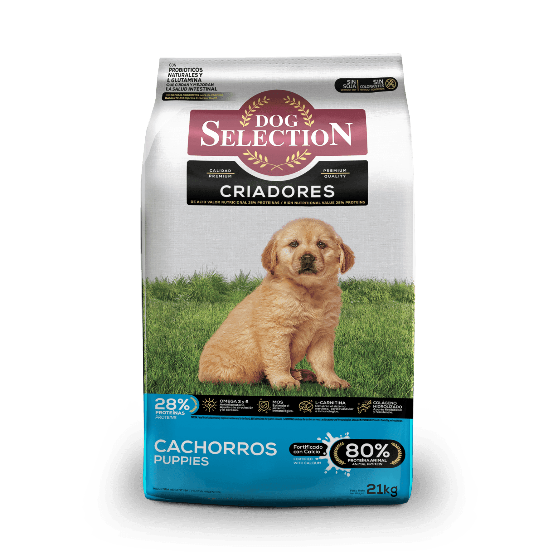 Dog Selection Cachorro