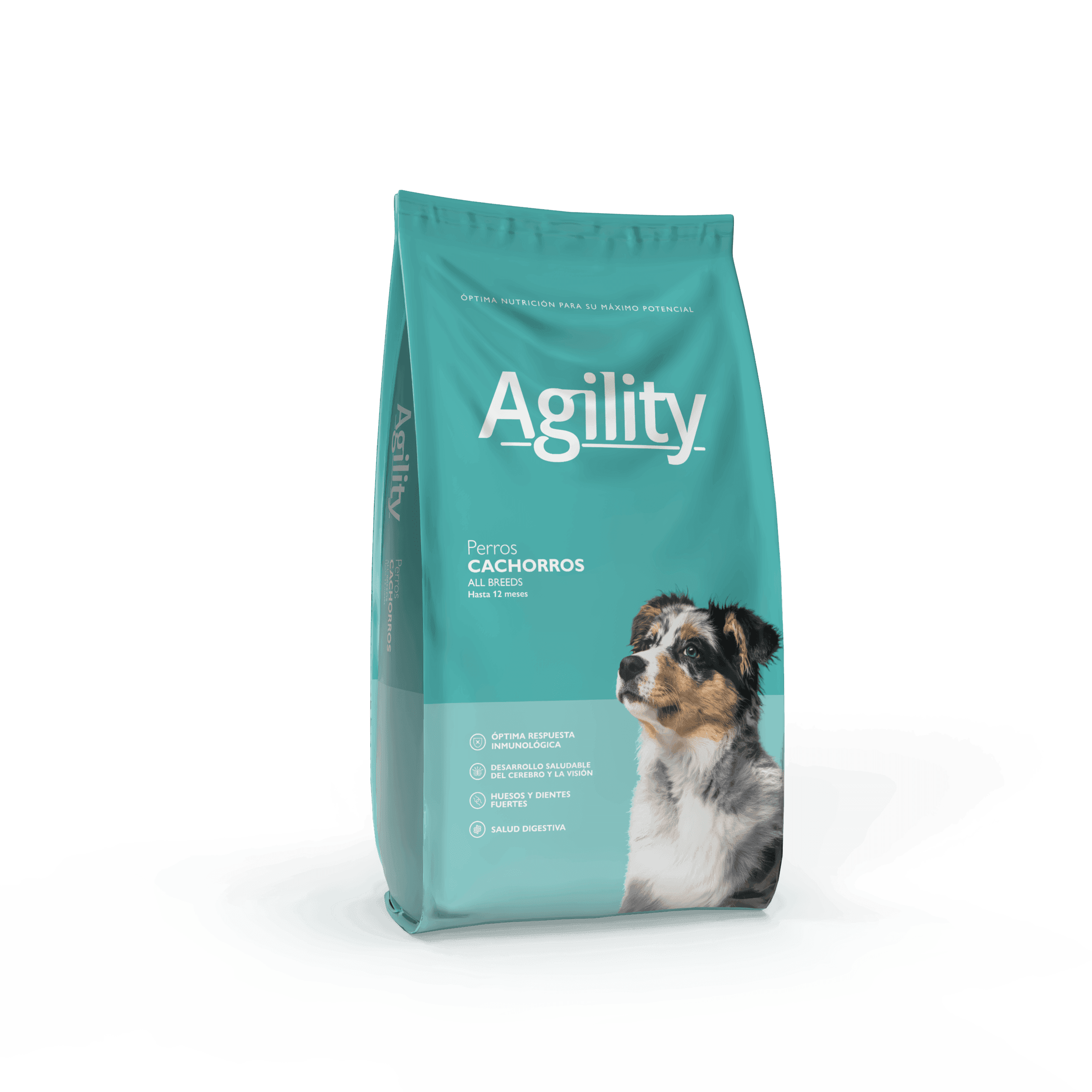 Agility Cachorro