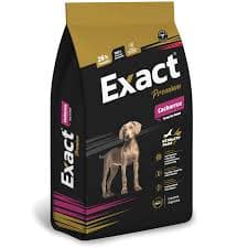 Exact Cachorros