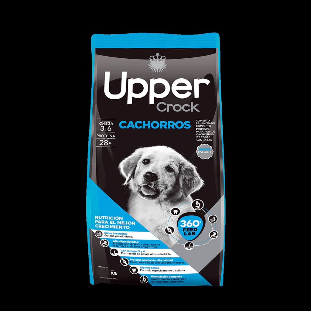 Upper Cachorro